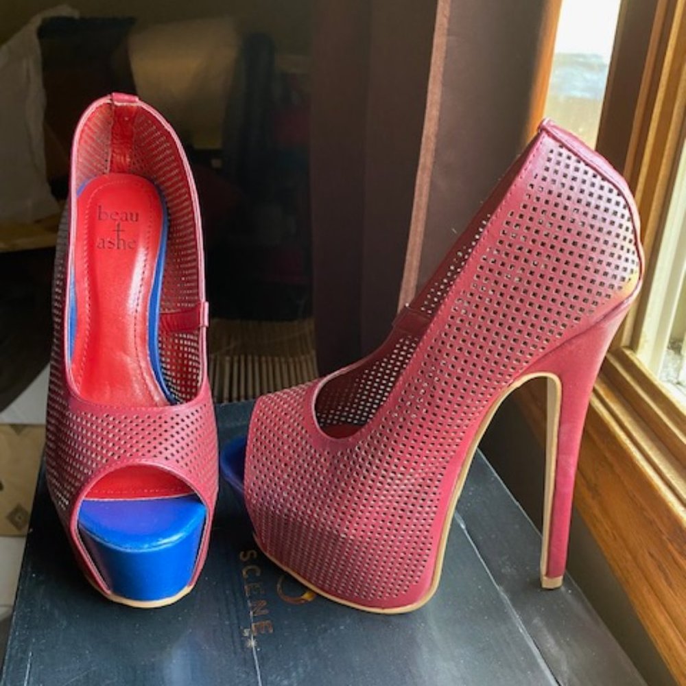 Size 6.5 burgundy and navy blue pinpoint platforms. Never worn.